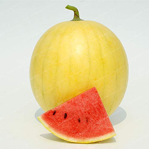 Heirloom 'Huangpiqiu' yellow-skinned watermelon seeds 20 pieces, 13% sugar, sweet and juicy