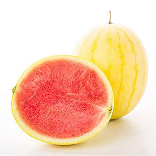 Heirloom 'Huangpiqiu' yellow-skinned watermelon seeds 20 pieces, 13% sugar, sweet and juicy